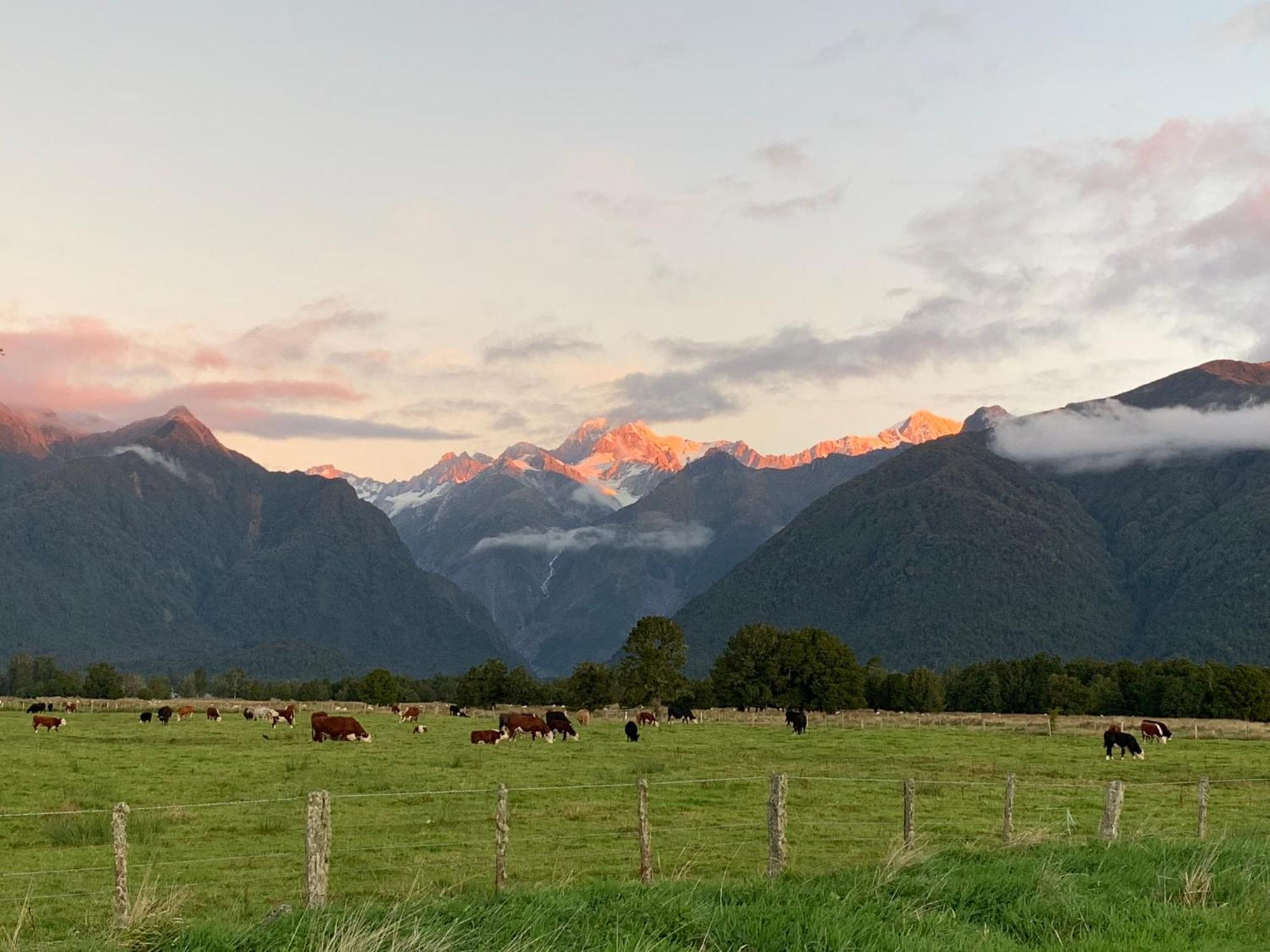 High Peaks Hotel Fox Glacier Esterno foto